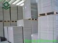 duplex board duplex paper board manufacturer 250gsm 300gsm 350gsm 400gsm 450gsm 3