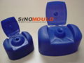 Flip top mould