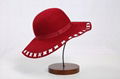 Bright Red Wide Brim Wool Felt Hat