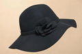 Woman Wide Brim Wool Felt Hat