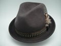 Man Fedora Wool Felt Hat