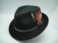 Fashion Man Fedora Wool Felt Hat 