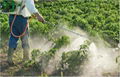 Vegetable pesticides 1