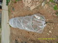 Non-woven plant cover non-woven flower cover 3