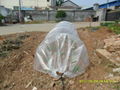 Non-woven plant cover non-woven flower cover 4