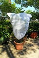 Non-woven plant cover non-woven flower cover 5