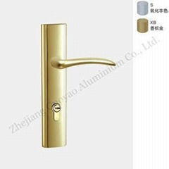 Aluminum Handle