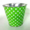 Small Tin Pail, Tin Bucket 1