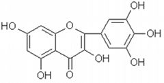 Myricetin