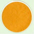 Curcumin 3