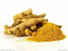 Curcumin