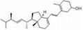 Reishi Extract 2