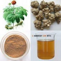 Ginseng Extract