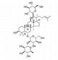 Ginseng Extract 4