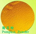 pumpkin powder