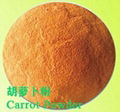 Carrot powder