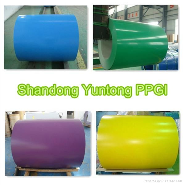 PPGI/PREPAINTED GALVANIZED STEEL COIL