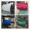 PREPAINTED GALVANIZED STEEL COIL 2