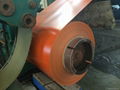 PREPAINTED GALVANIZED STEEL COIL 5