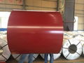 PREPAINTED GALVANIZED STEEL COIL 4