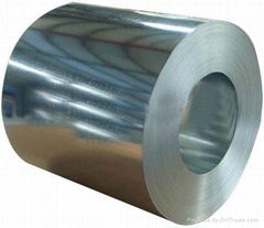 Hot dipped galvanized steel coil 