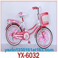  Folding Bike with Competitive Price 1