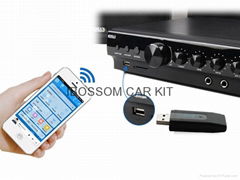 Bluetooth Audio Adapter