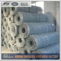 Hexagonal Wire Mesh 3