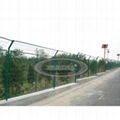 Wire Mesh Fence