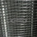 Welded Wire Mesh