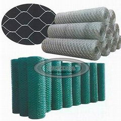 Hexagonal Wire Netting