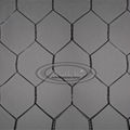 Hexagonal Wire Netting 2