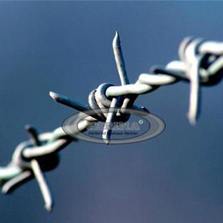 Barbed Wire