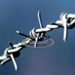 Barbed Wire