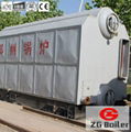 SZL Biomass Fired Steam Boiler