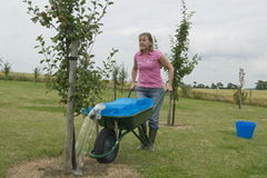 food-grade plastic water container bag used with barrow 