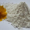 Synthetic Kieserite Granular-magnesium sulfate monohydrate fertilizer China 3