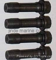 marine using bolt for cylinder head 
