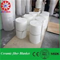 Refractory Materials HP 1260? Ceramic