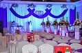 wedding backdrops with swag 2