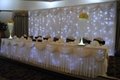 white led star curtain for wedding  2