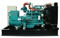 250kva natural gas generator set 1
