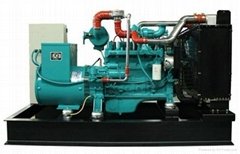 300kva natural gas generator set