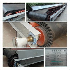 Factory Direct Selling Belt Weigh Feeder for Feeding Rice