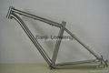 wholesale titanium MTB bicycle frame