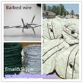 Barbed wire 2