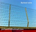 Barbed wire 3