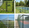 Chain Link Fence 