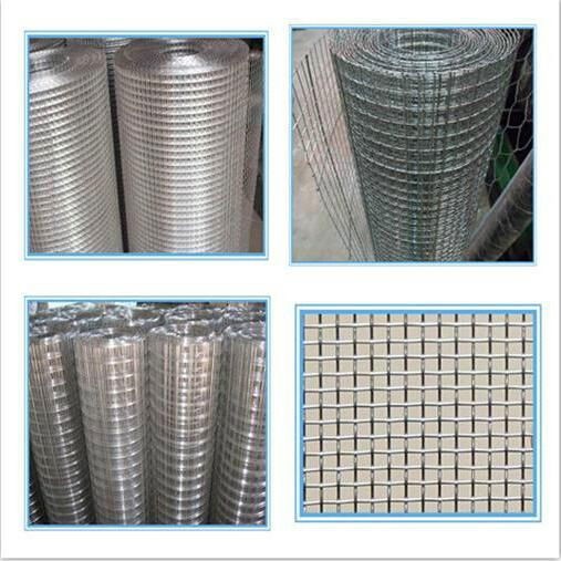 Crimped Wire Mesh 2