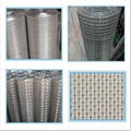 Crimped Wire Mesh 2